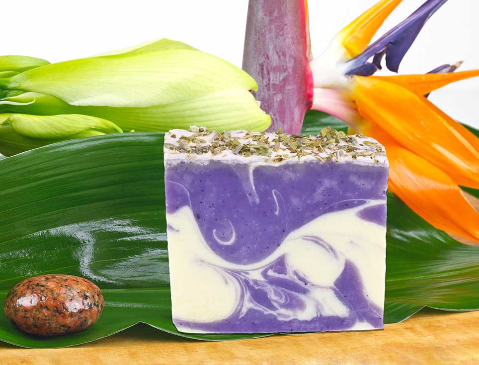 naturseife-eisenkraut-lavendel-zitronig-frisch-vegan-ohne-tierversuche-pflegend-stimmungsbildzGj7mt3kuplzR
