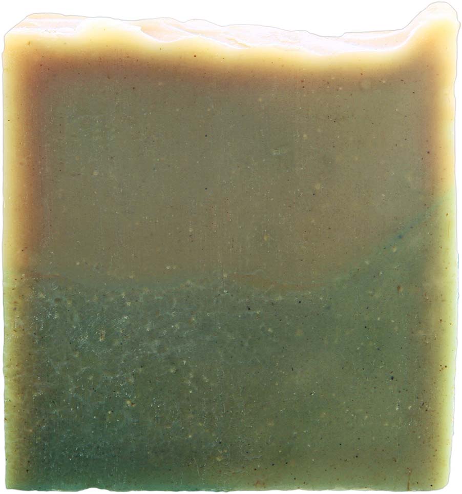 naturseife-waschnuss-shampoos-mild-frisch-vegan-ohne-tierversuche-pflegend Naturseife Waschnuss